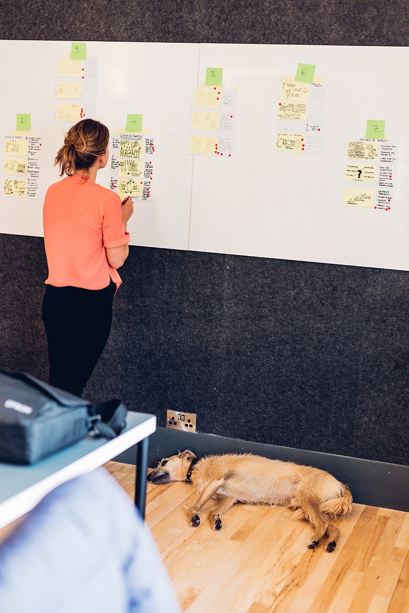 Woman reading post-it notes on a whiteboard in an office with a dog sleeping beside her